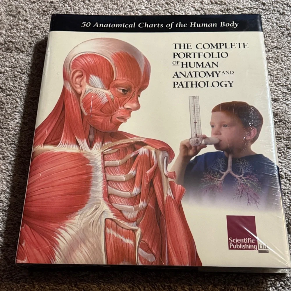 Human Anatomy Chart Portfolio